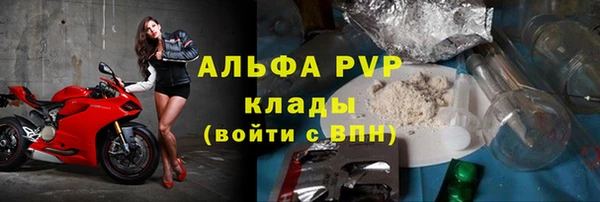 гидра Богданович