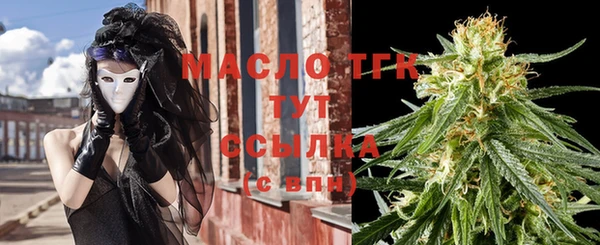 гидра Богданович