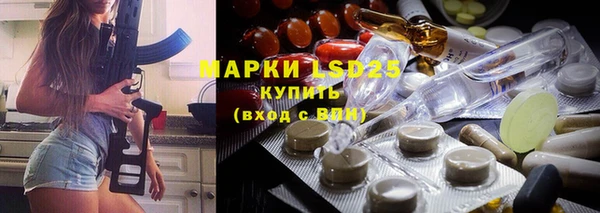 гидра Богданович